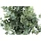 Monarch Specialties Artificial Plant, 11" Tall, Eucalyptus Grass, Indoor, Faux, Fake, Table, Greenery, Potted, Set Of 2 I 9580 - alternate 5